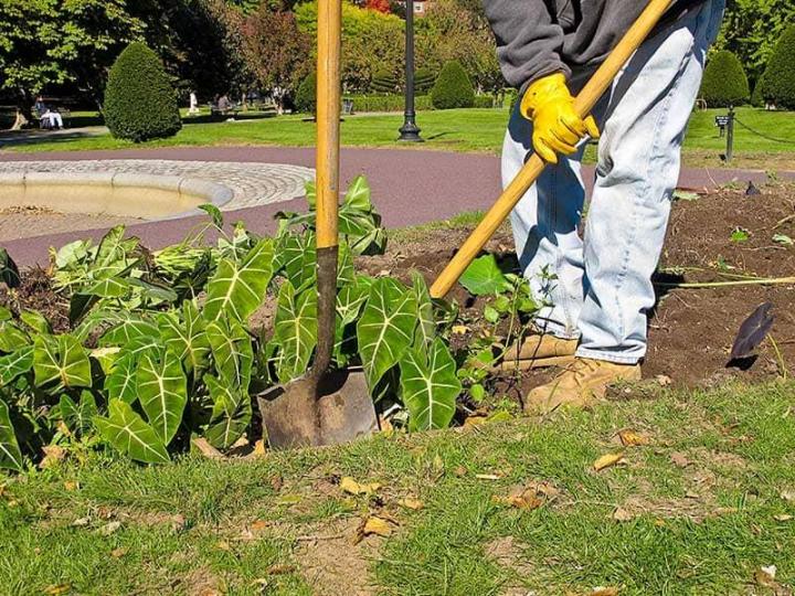 Fiez-vous à notre savoir-faire pour tous les travaux d’aménagement paysager.